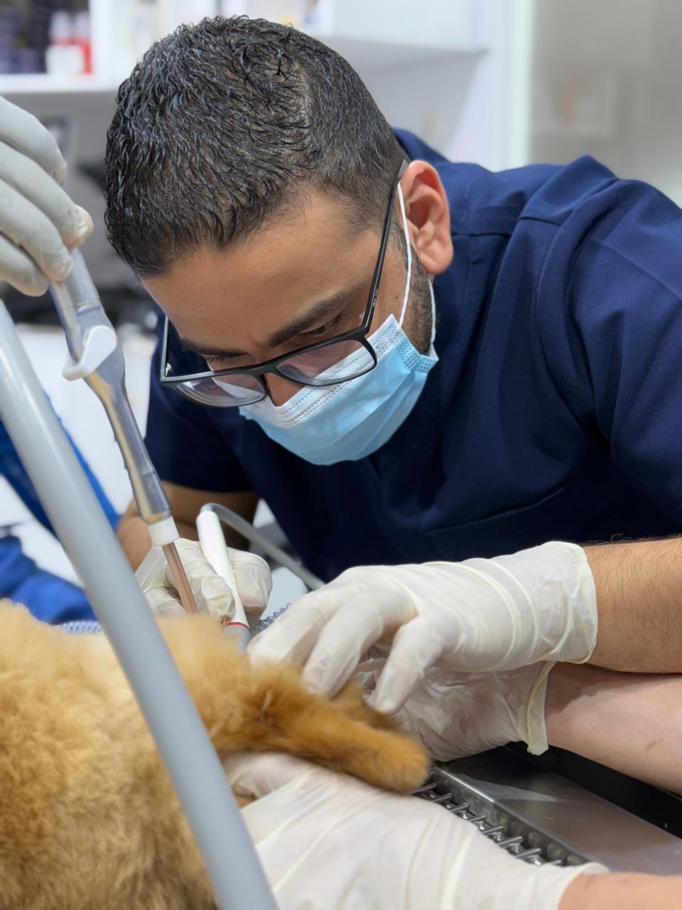 WhatsApp Image 2025-10-23 at 15.55.15 (4)