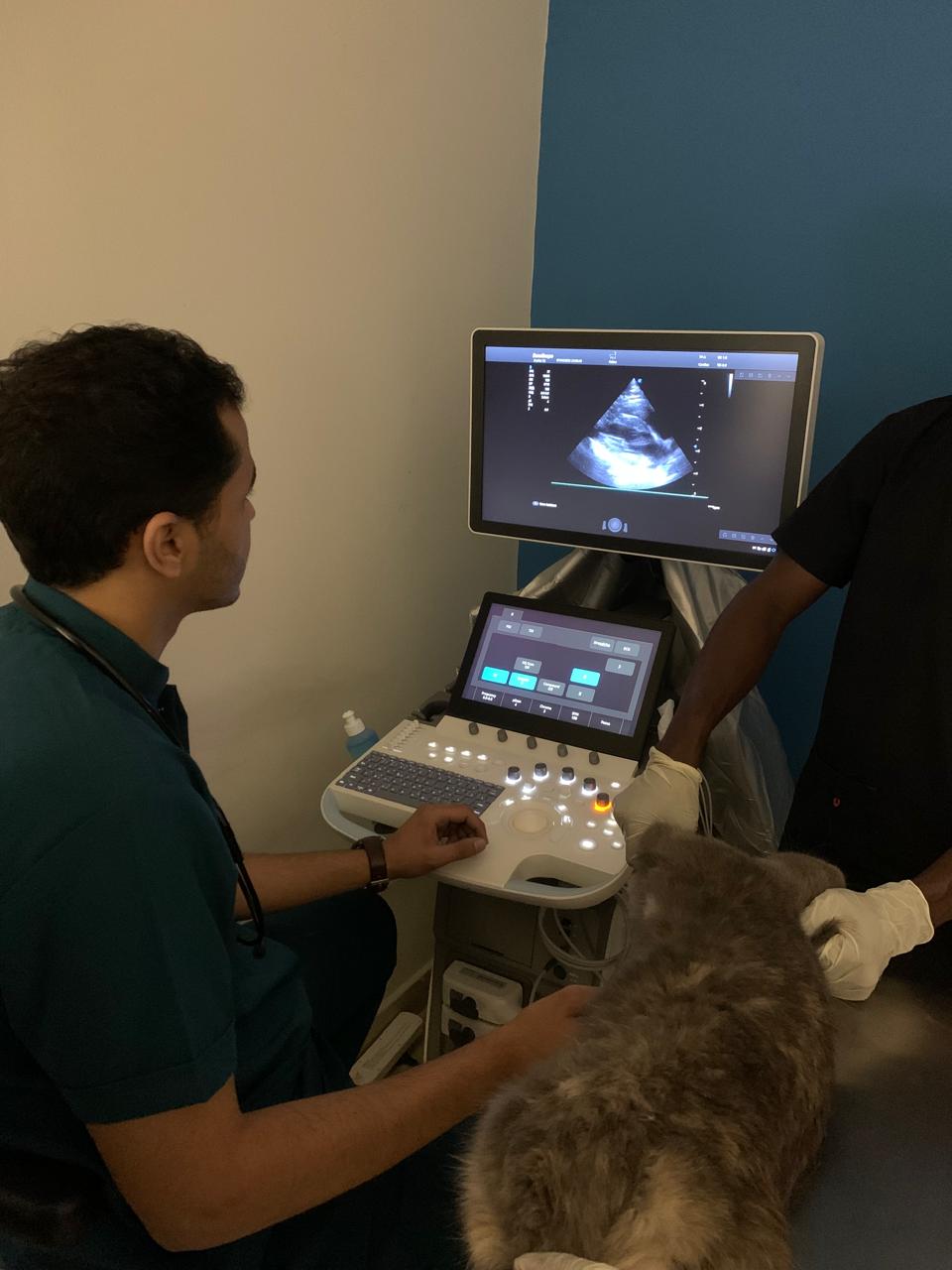 WhatsApp Image 2025-10-23 at 15.55.16 (6)